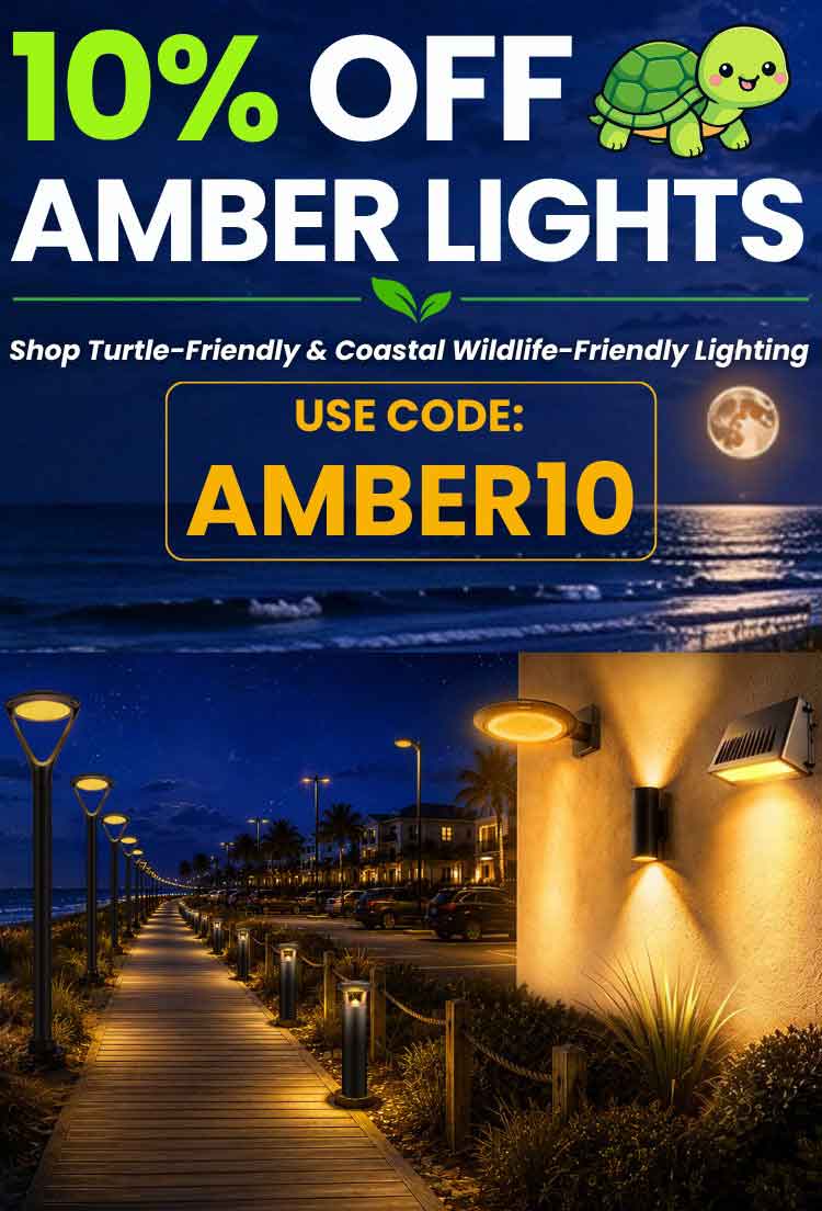 Promotional banner for amber outdoor lighting, showing a nighttime boardwalk scene with illuminated post lights and wall sconces, plus large text reading '10% OFF AMBER LIGHTS' and 'USE CODE: AMBER10'.