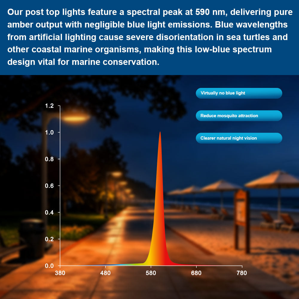 Graph of light emissions for different wavelengths showing the true amber 590nm LED light and explanation of benefits