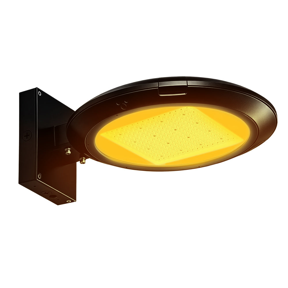 Atria Turtle Friendly Amber Area Light with Wall Mounting in Black finish.
