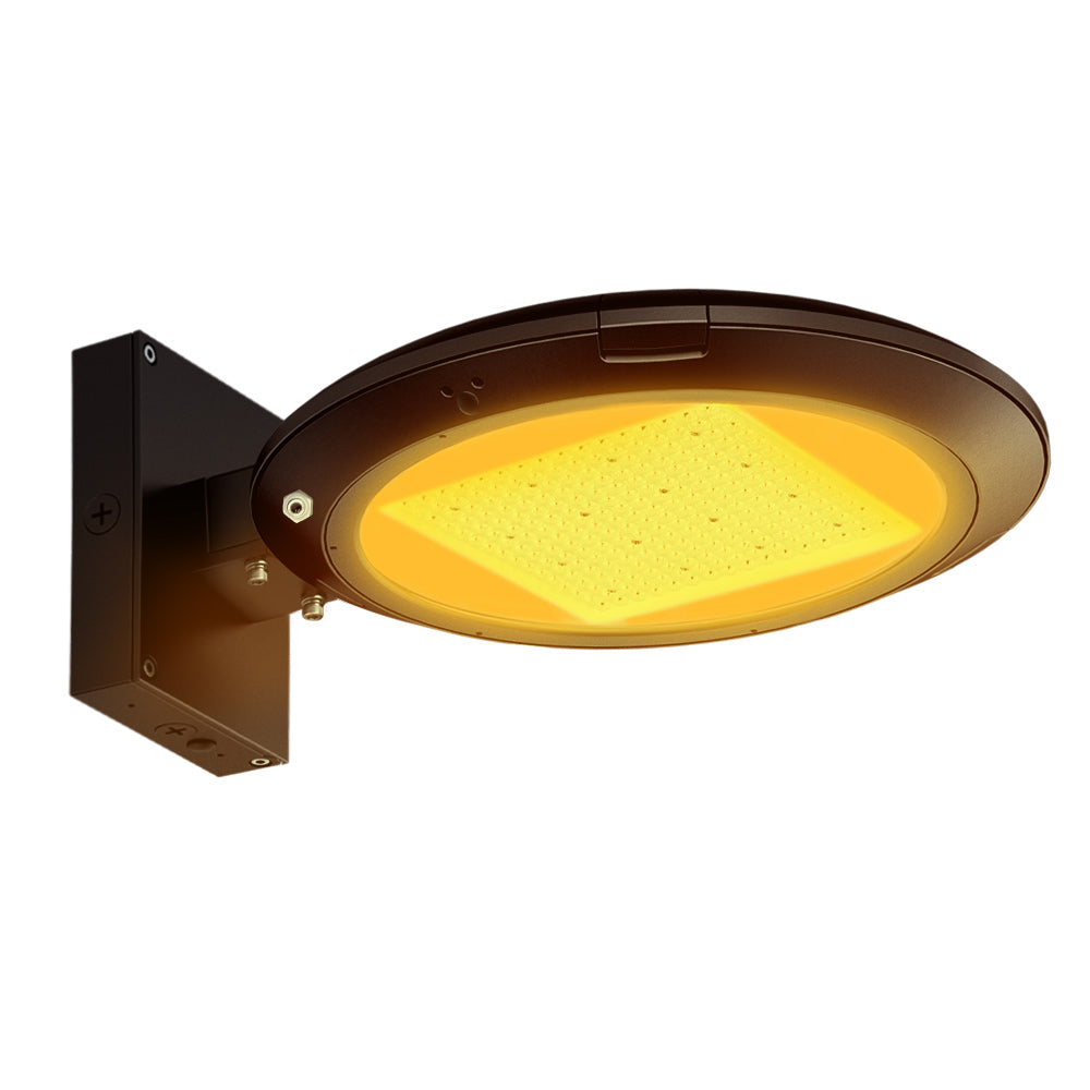 Atria Turtle Friendly Amber Area Light with Wall Mounting in Dark Bronze finish with photocell