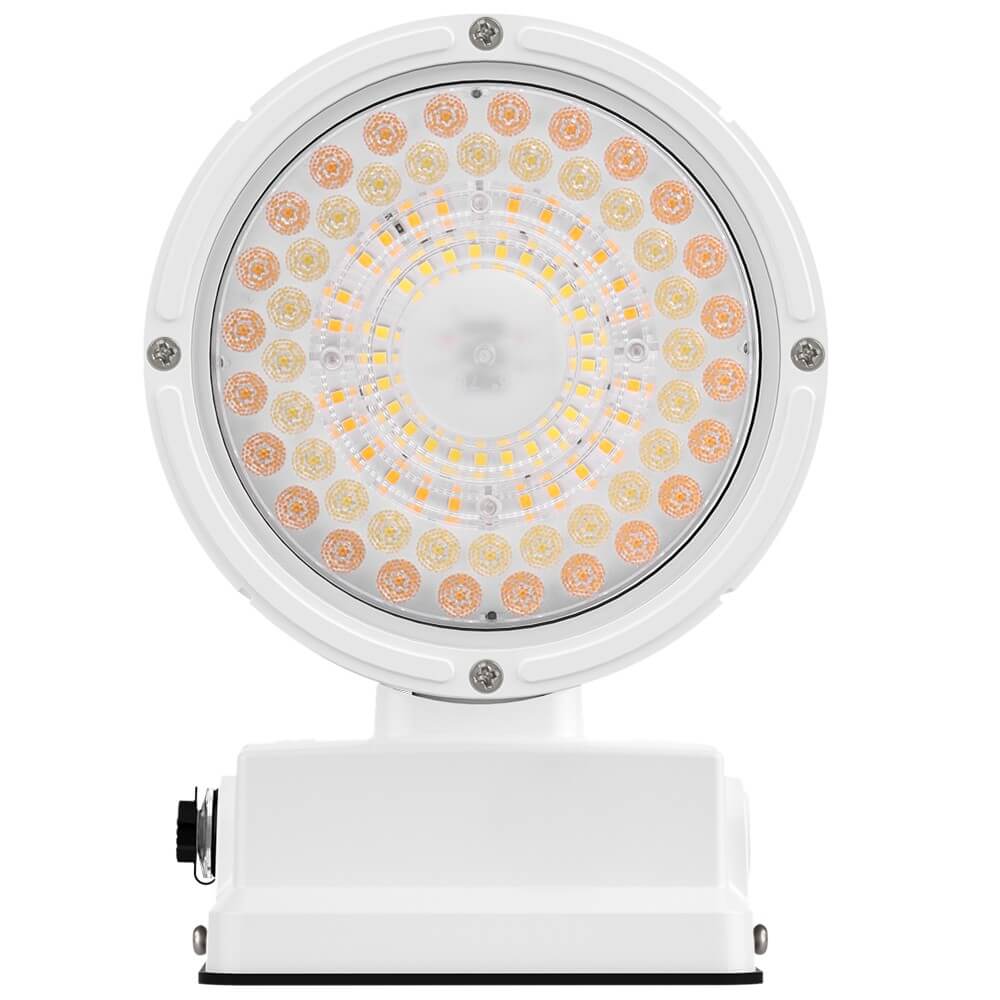 Button View of Konlite 6 inch LED Cylinder Up and Down Wall Light