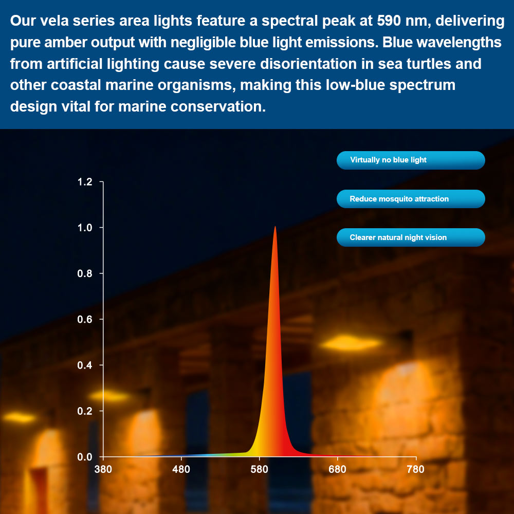 Graph of light emissions for different wavelengths showing the true amber 590nm LED light and explanation of benefits
