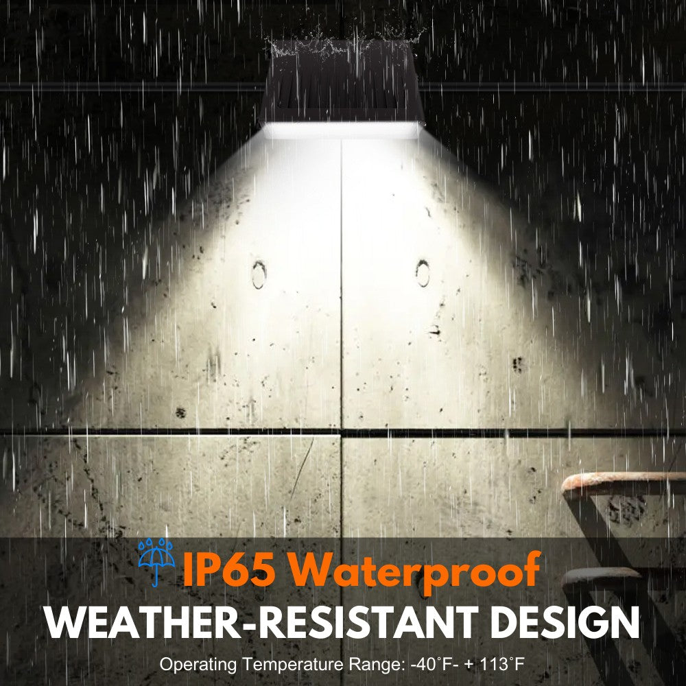 IP65 FULL CUT-OFF WALL PACK Light