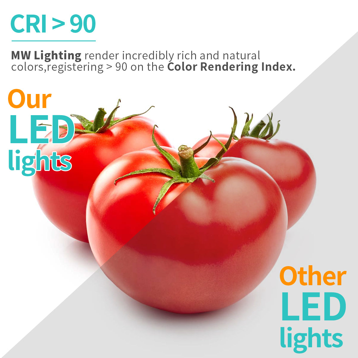 MW Lighting render incredibly rich and natural colors