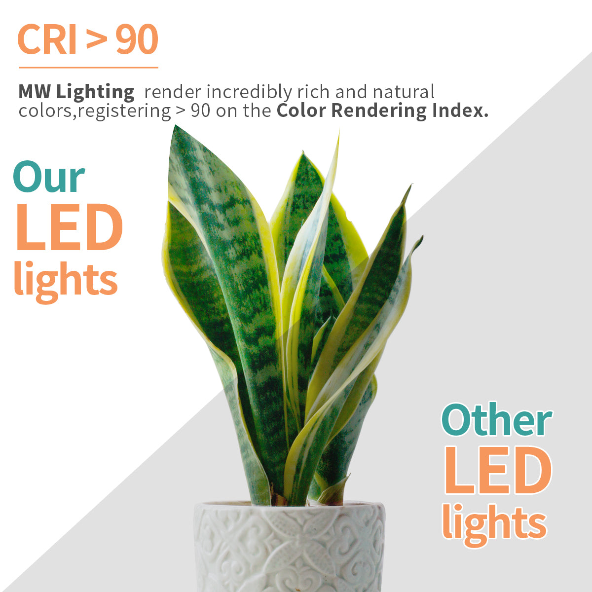 MW Lighting color rendering accuracy