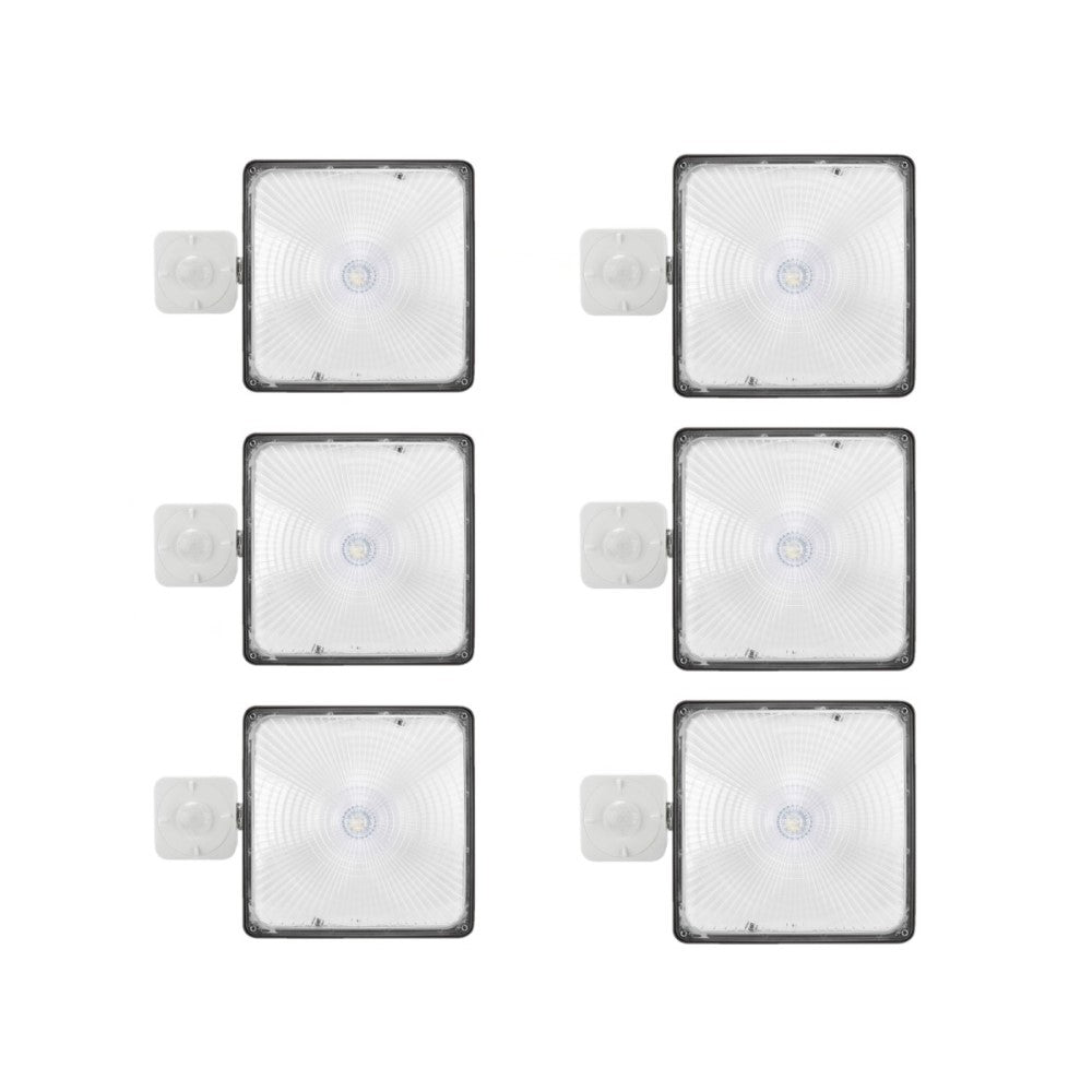 LED Canopy with motion sensor- 6 pack