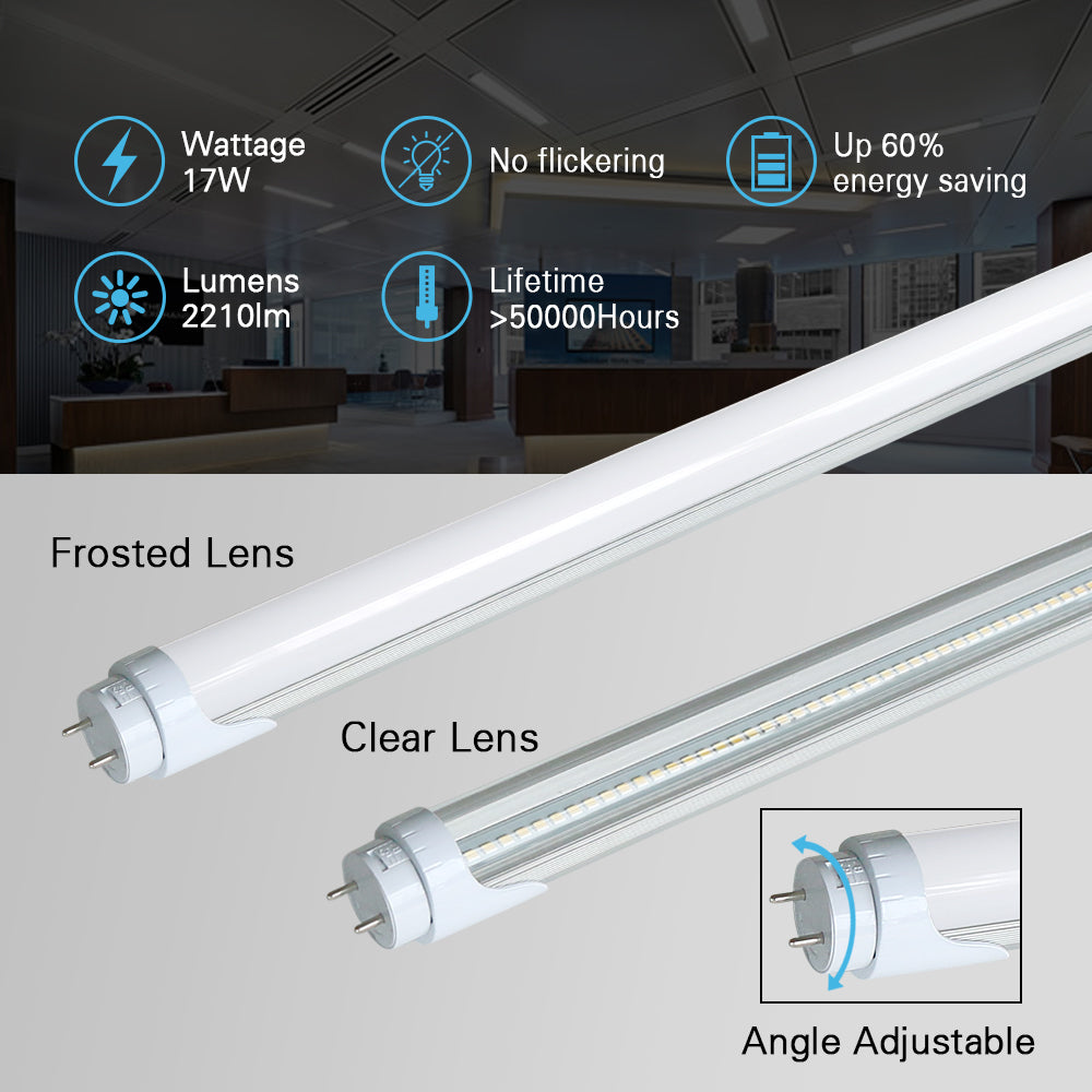 one frosted and one clear lens LED T8 bulbs  displayed with main features
