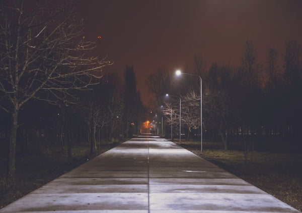 Reasons To Install LED Lighting in Public Parks