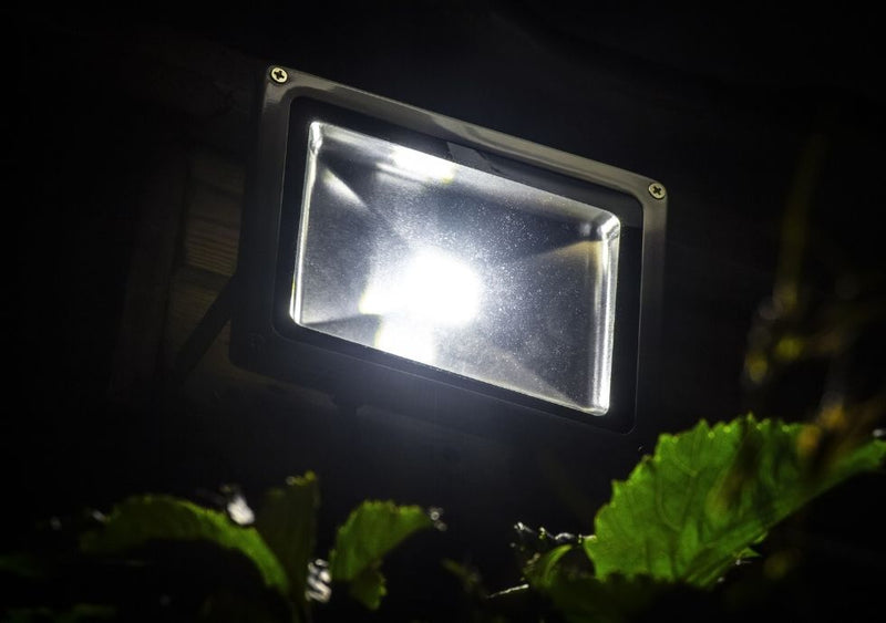 The Benefits of LED Dusk-to-Dawn Security Lights