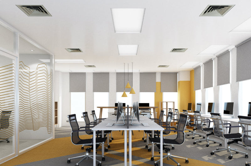 A bright office space illuminated with LED panel lights