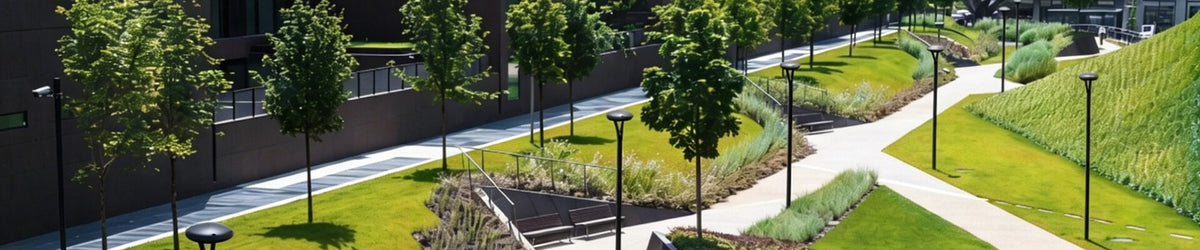 Atria Architectural Lighting