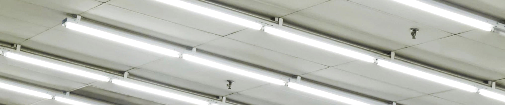 8-Foot LED Shop Lights