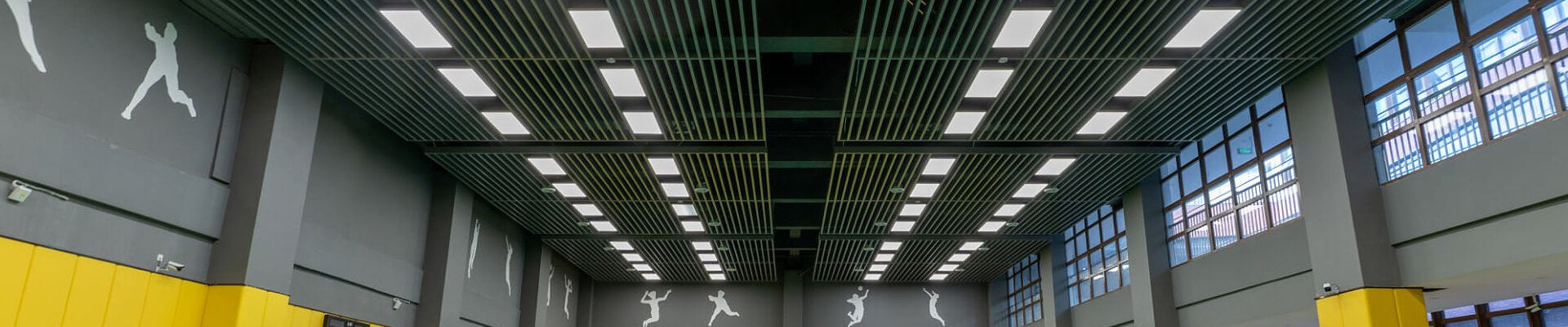 LED Gym Lighting