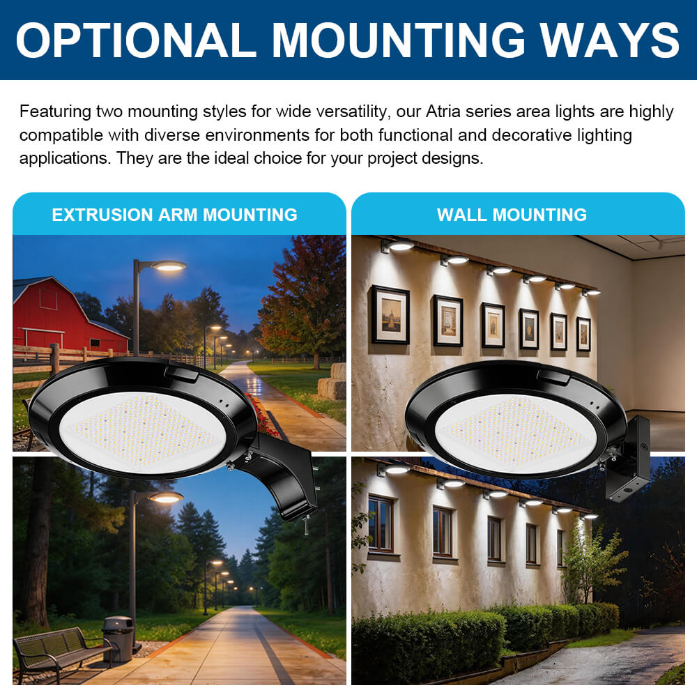 Mounting styles for Atria LED Area Light, including extrusion arm and wall mounting.
