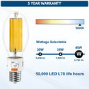 45W High Lumen LED Filament Bulb with 5 year warranty