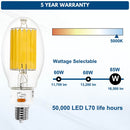 High Lumen LED Filament Bulb with a 5 year warranty