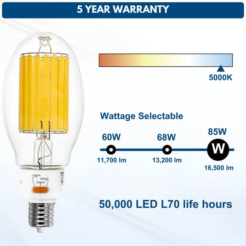 High Lumen LED Filament Bulb with a 5 year warranty