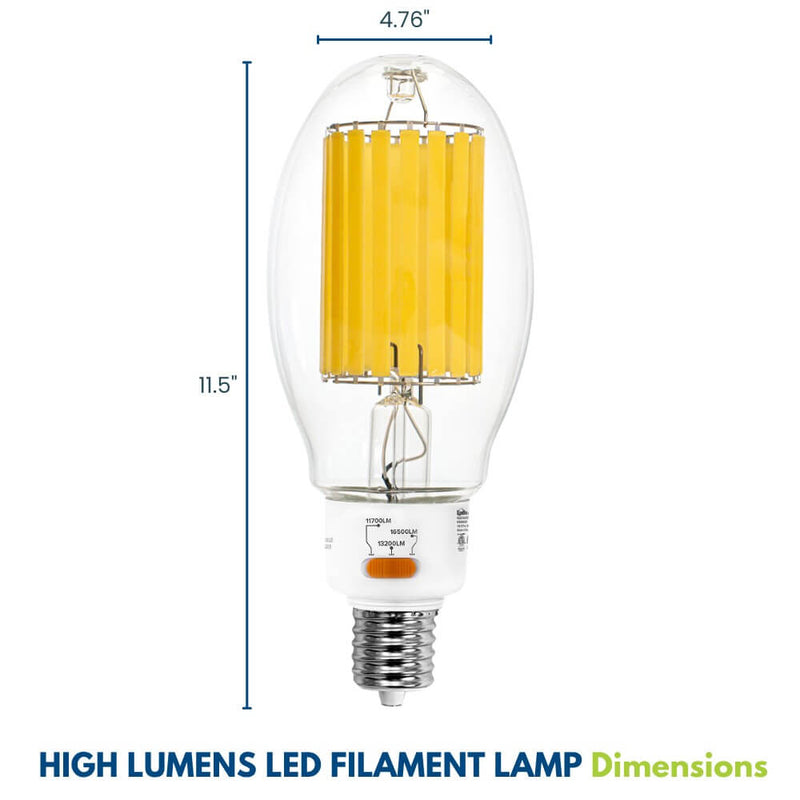 Dimensions of High Lumen LED Filament Bulb 