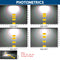 63W NAVI LED Flood Light Photometric