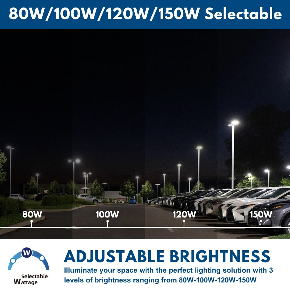 Field 4 steps wattage selectable area light