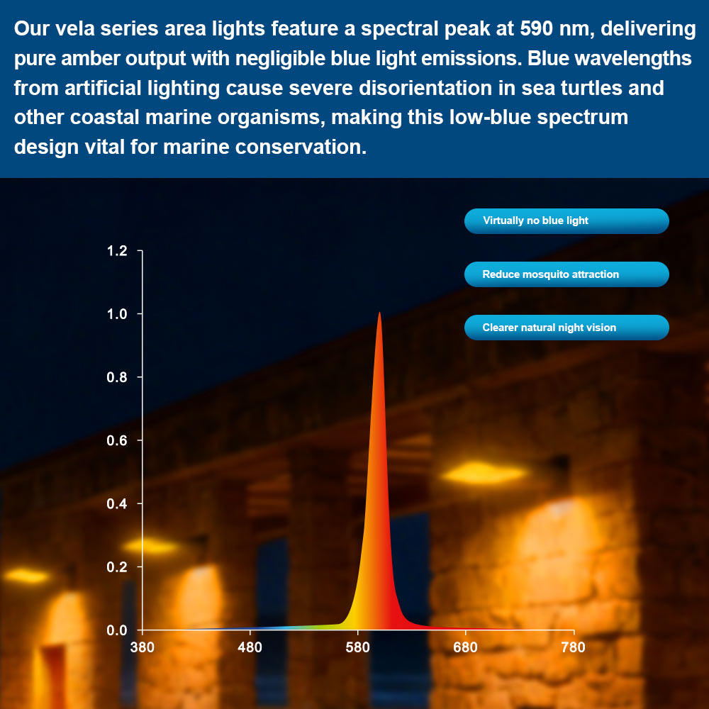 Graph of light emissions for different wavelengths showing the true amber 590nm LED light and explanation of benefits