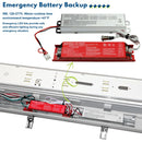 Emergency Battery Backup for Vapor Tight