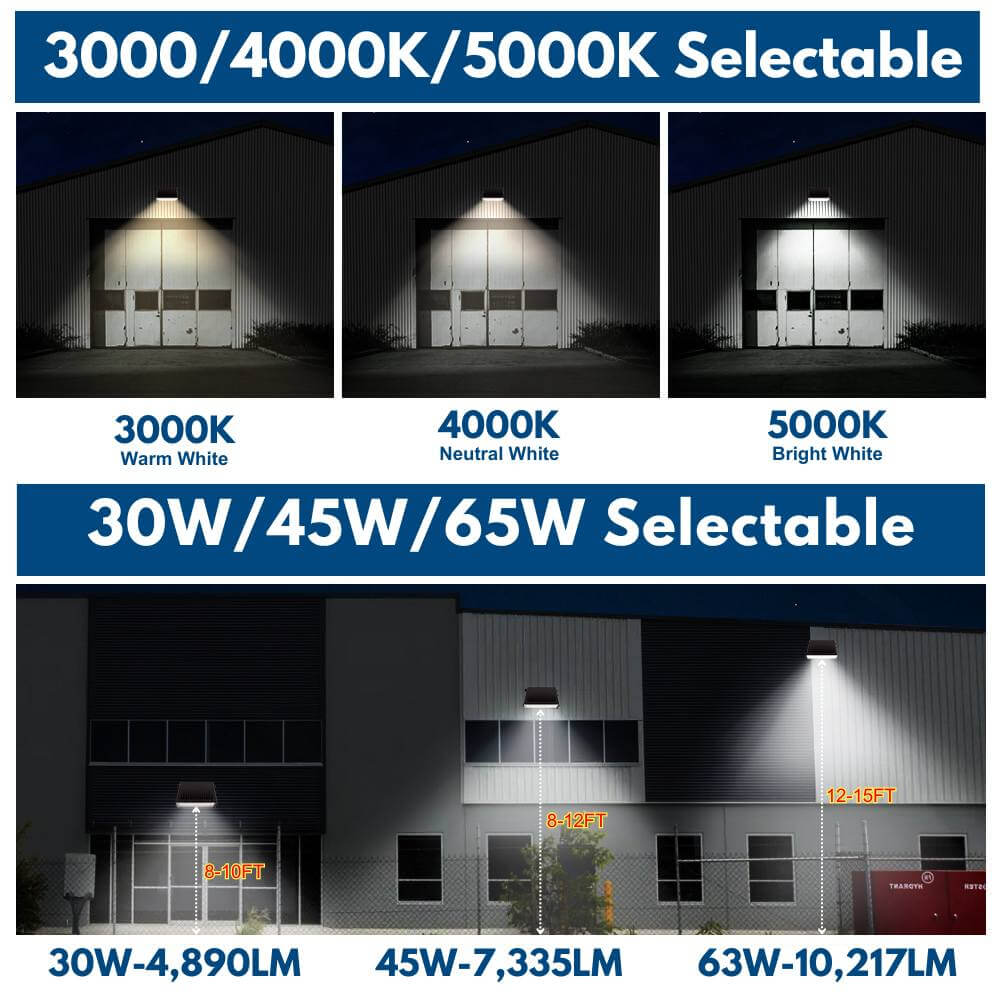 Full Cut off Wall Pack light with selectable wattages and CCT