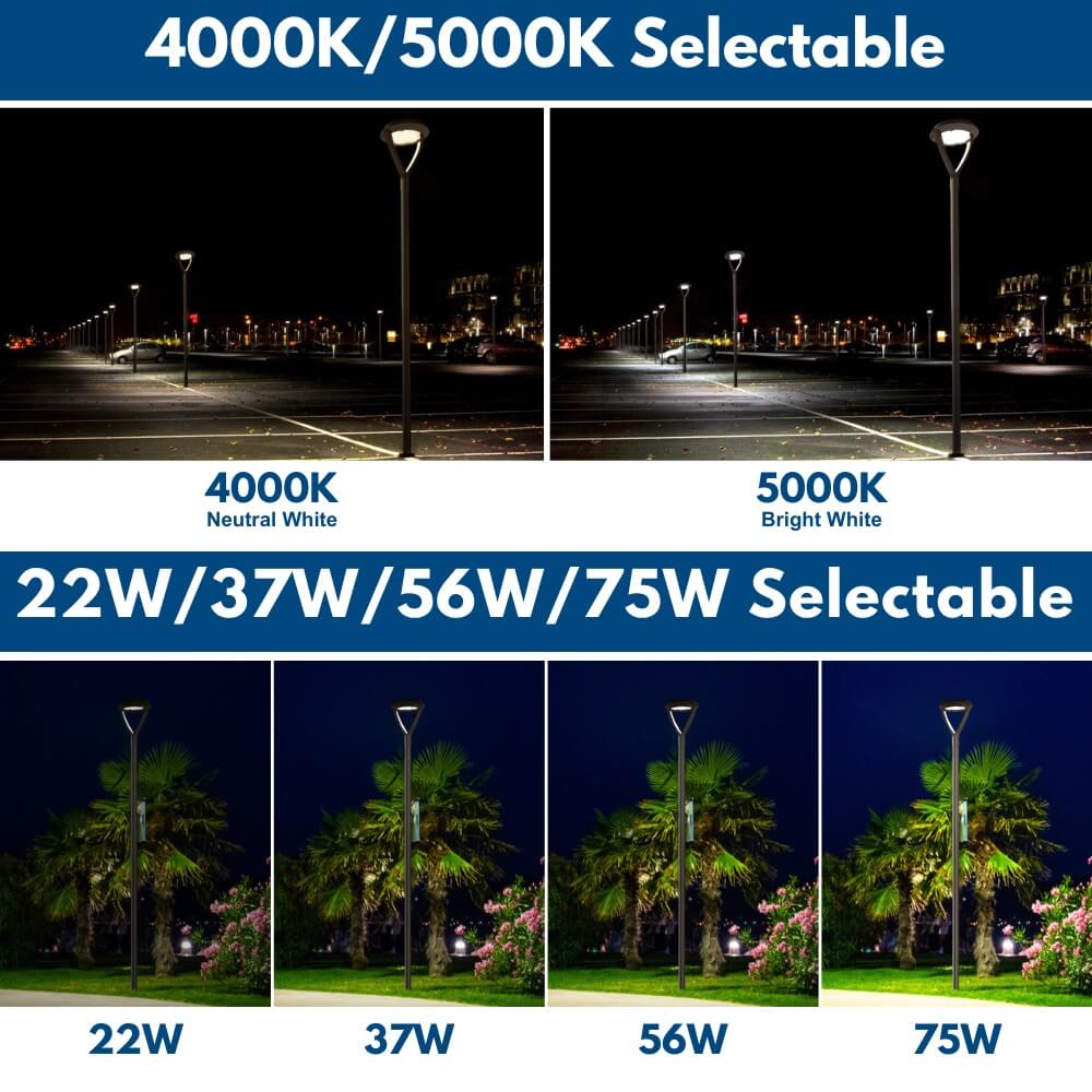 Wattage and CCT Selectable LED Post Top Light