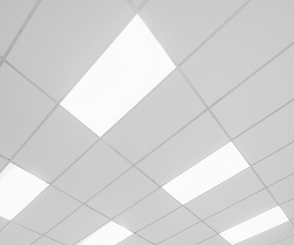 2X4 FT. led panel lights mounted in the ceiling