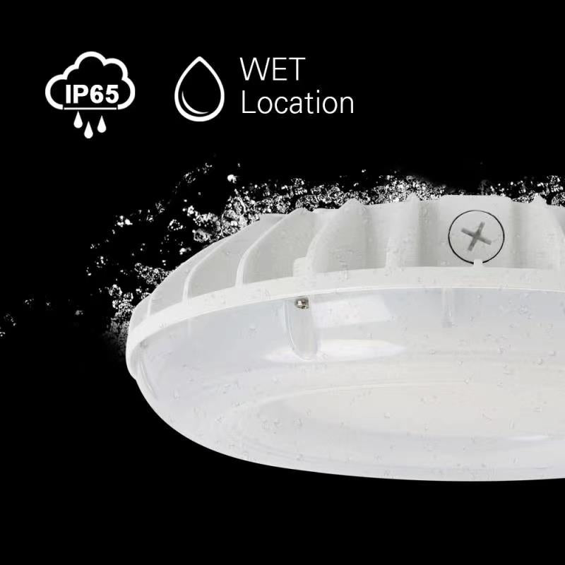 White LED canopy Area light in wet location